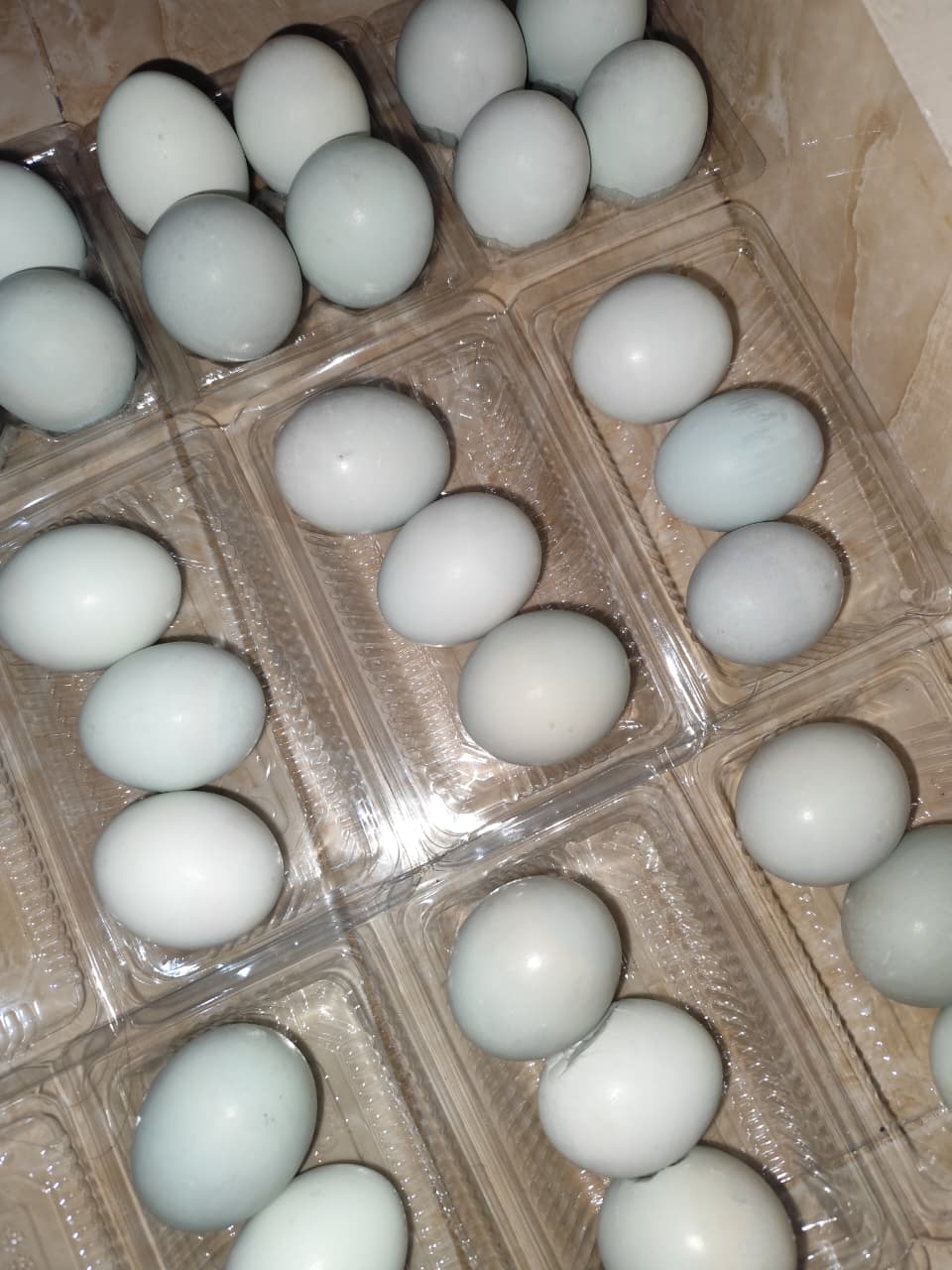 Telur Asin